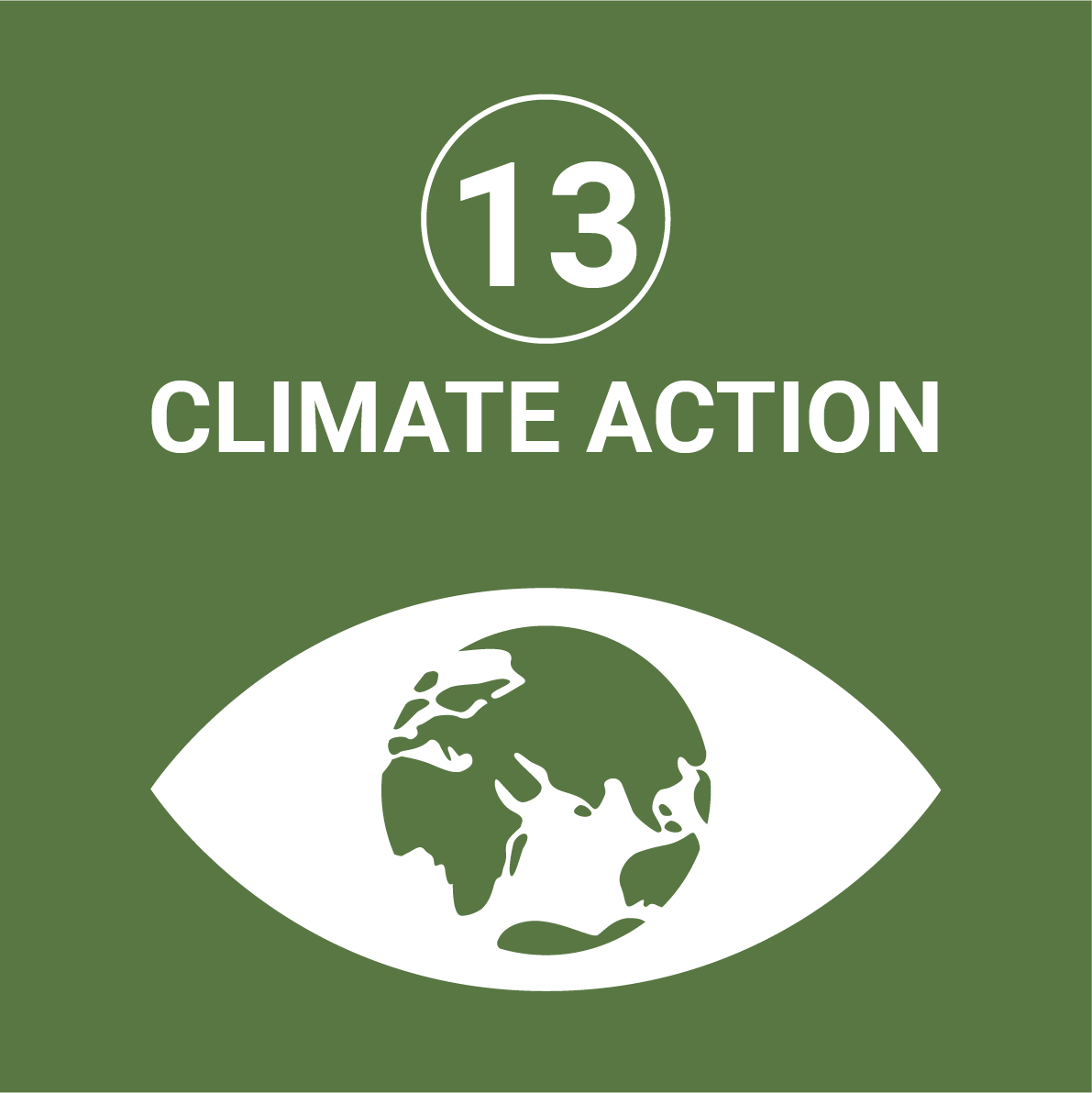 SDG 13